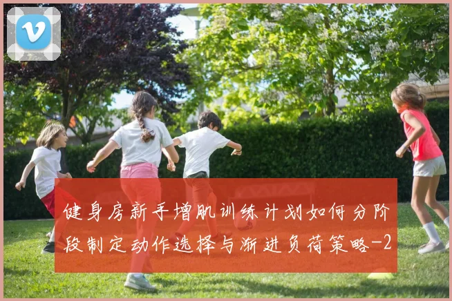 健身房新手增肌训练计划如何分阶段制定动作选择与渐进负荷策略