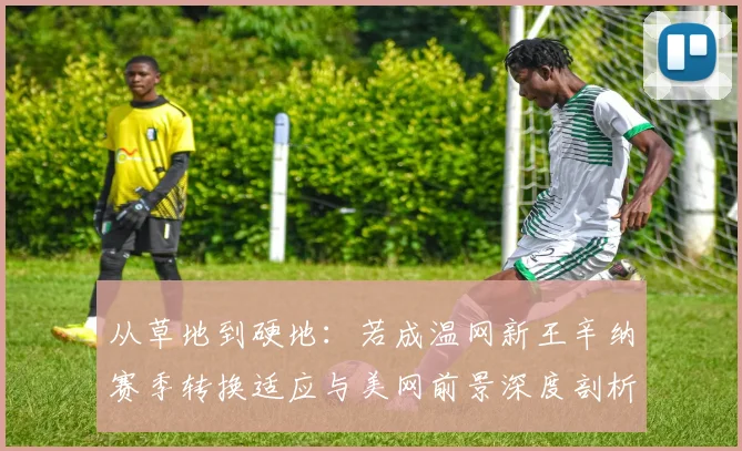 从草地到硬地：若成温网新王辛纳赛季转换适应与美网前景深度剖析