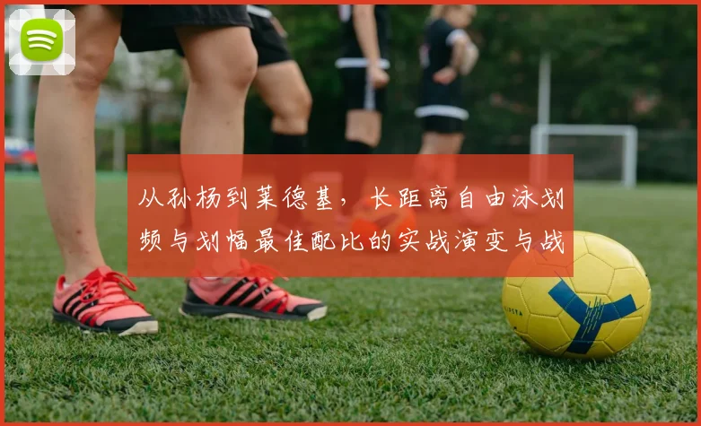 从孙杨到莱德基，长距离自由泳划频与划幅最佳配比的实战演变与战术选择